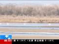 甘肃张掖黑河湿地自然保护区万鸟齐飞