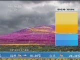 午间天气预报