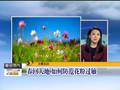 春回大地如何防范花粉过敏