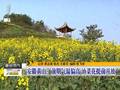 内蒙古：大批迁徙候鸟栖息黄河湿地