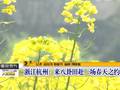 主播关注：春季赏花注意事项