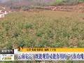 如何预防“倒春寒”