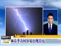 又到柳絮飘飞时
