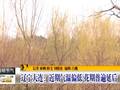 辽宁近期气温偏低花期普遍延后