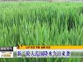 新疆强降雨来袭市民出行受阻