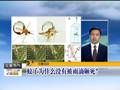 内蒙古：边防民警手机记录百米高沙墙