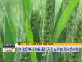专家解析进入小满节气南方降雨增强北方易现强对流