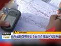 吉林通榆龙卷风突然袭击掀翻大货车