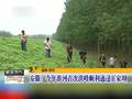 重庆铜梁：大暴雨袭城实验一小被迫停课