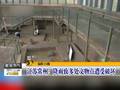 河北保定：降雨增墒促生长虫害防治要加强