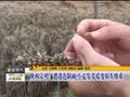 江苏常州：降雨致多处文物点遭受破坏