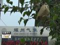 陕西气候变化十-积极发展风能源落实能源转型升级