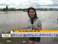 “灿鸿”过后浙江宁波鄞州农田成汪洋