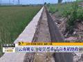 内蒙古数万亩草场遭受蝗灾