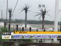今年台风“苏迪罗”强度大路径稳波及范围广