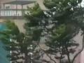 “苏迪罗”致台湾400公斤观音像被吹断