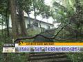 迎战苏迪罗安徽气象部门应急保障