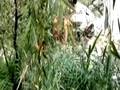 暴雨致山西游客被困山中紧急救援