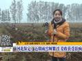 降雪天气里行车应注意哪些问题
