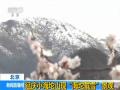 北京小海坨山现“海坨戴雪”景观