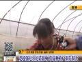 30秒看南方近两月到底泼下多少雨？