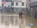 广东防总：信宜遭遇超200年一遇降雨袭击