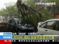 “尼伯特”登陆台湾高雄市区受灾严重