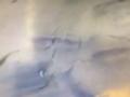“尼伯特”登陆福建泉州沿海风浪加剧