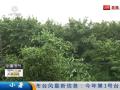湖北江河水位回落 军民备战下轮降雨