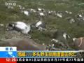 挪威300多头野生驯鹿遭雷击死亡