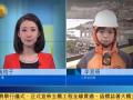 “胖台”鲇鱼侵袭台湾