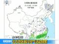 巨型鳄鱼“过马路”游人纷纷来拍照