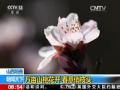 山东青岛：游客被潮水围困 紧急营救