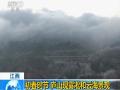 青海祁连山雪后上千只岩羊现身