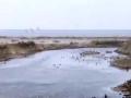 新疆多地降雪降温 交通畜牧业受影响