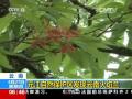 全国铁路五一假日运输今天启动