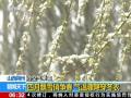 江西：降雨致多地小区内涝严重