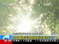 美丽夏日 怎样拍出美美的沙滩照