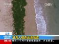 连云港多处海域现大面积浒苔入侵