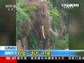 台风“苗柏”余威 广东梅州多地受灾