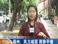 记者连线 温州市区风雨不大