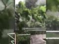 全球变暖仍是导致极端天气主因