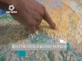 九寨沟：为什么美丽和风险并存？