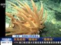 贵州册亨：暴雨导致泥石流 高速公路被掩埋