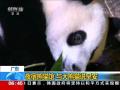 “厄玛”来袭：网友呼吁发起“向飓风开枪”行动