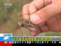 双台风逼近：沿海相关各地严阵以待