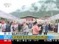 山东潍坊近千亩玉米遭蝗害 已有效控制