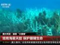 澳大利亚：拯救“大堡礁”