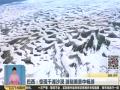 南非遭罕见暴风雨袭击 集装箱货轮被吹离泊位