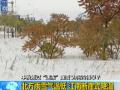 巴西现千湖沙漠 白色沙漠与蓝色海水相间